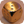 Золотая кость