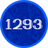 ЧШ Школа 1293